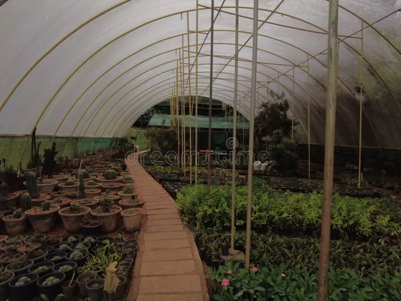 kuzhipallam-botanical-garden-thiruvananthapuram-kerala-kuzhipallam-botanical-garden-thiruvananthapuram-kerala-258450059